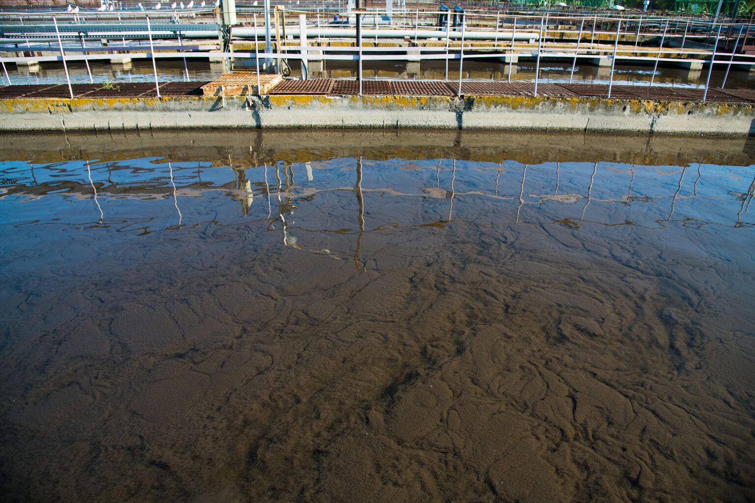 Bassin met gezuiverd water. Op de bodem bezinkt zuiveringsslib.